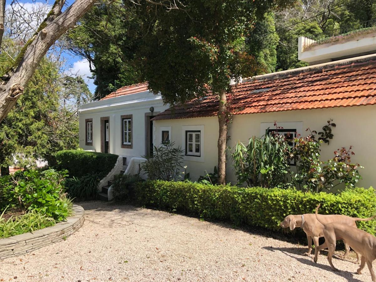 Luxurious Royal Estate In Historic Sintra Paradise Bagian luar foto