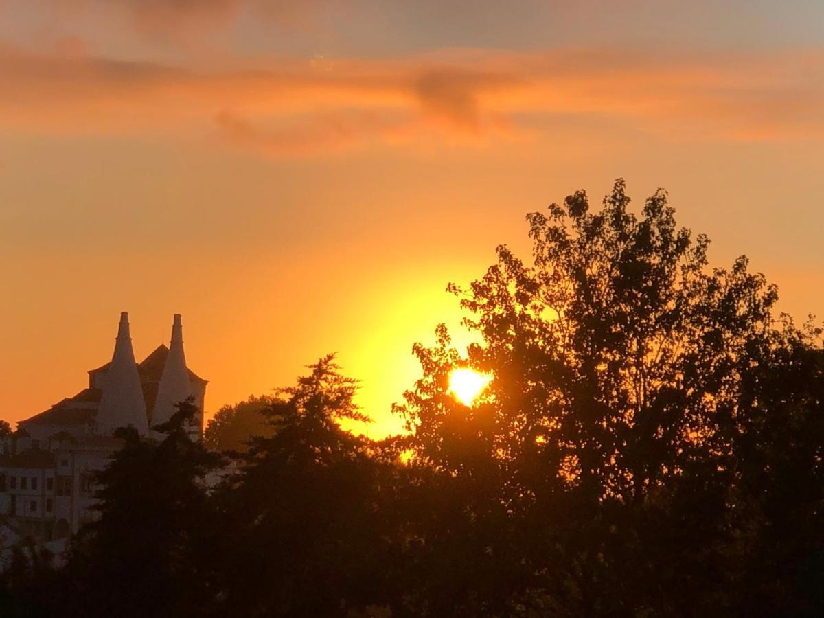 Luxurious Royal Estate In Historic Sintra Paradise Bagian luar foto