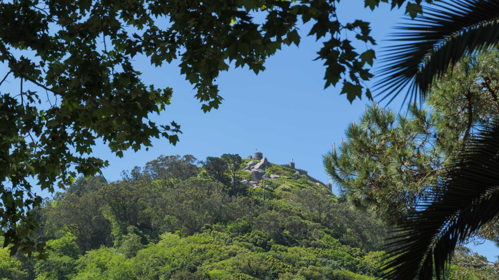 Luxurious Royal Estate In Historic Sintra Paradise Bagian luar foto